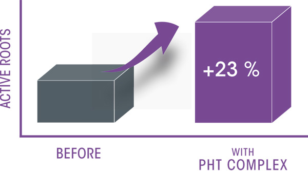 Before and after the use of Stop & Grow with PHT Complex